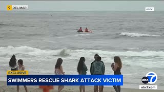 Witnesses rush into ocean to help swimmer attacked by shark near San Diego [upl. by Stronski250]