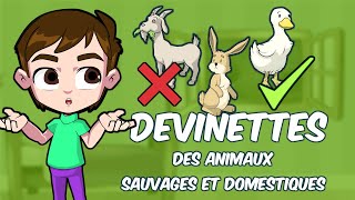 Devinettes les animaux sauvages et domestiques description dun animal Riddles about animals [upl. by Garate594]