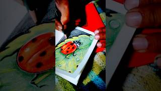 How to draw ladybirdart drawing [upl. by Eelyram365]