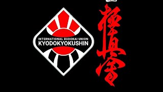 Karate Kyokushin Monza Brianza [upl. by Edgell]