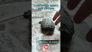 Acuaterrario Casero Recinto o Acuario para TORTUGAS [upl. by Burleigh]