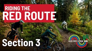 Mountain Biking In Dalby Forest Red Route – Section 3 [upl. by Asillim334]