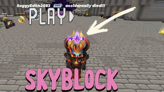 Returning to skyblock  BlockMan GO [upl. by Ettennig]