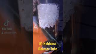 K1 Kaldness  Filter Biologis  K1 Kaldness Tube [upl. by Doolittle453]