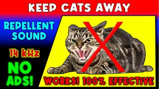 ANTI CATS REPELLENT SOUND ⛔😼🐈 KEEP CATS AWAY  ULTRASONIC SOUND [upl. by Ralston]