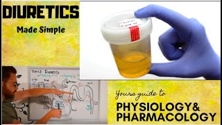 Diuretics CVS Pharmacology  part 1 [upl. by Eigroeg]