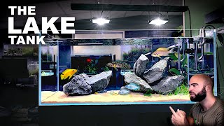 Aquascape Tutorial EPIC 4ft African Cichlid Aquarium  Lake Tanganyika How To Step By Step Guide [upl. by Dewain]