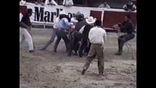 JARIPEO  TOROS EMBRABECIDOS COMPLETO CON CORRIDOS [upl. by Burman569]