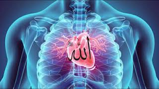 8D Zikr Allah use headphone  Zikir ALLAH  الله  Zikr AllahTurkish Zikir Allah Allah Allah 🎧 [upl. by Acinoj]