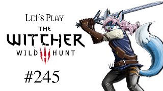 Lets Play The Witcher 3 Wild Hunt 245  Spieglein Spieglein in der Ruine [upl. by Toomay344]