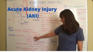 Acute Kidney Injury AKI [upl. by Lula]