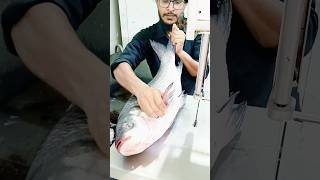 Watch amazing katla fish cutting videos very quickly with the machineshortvideo youtubeshorts [upl. by Isnan980]