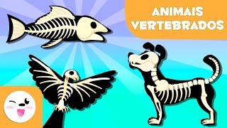 ANIMAIS VERTEBRADOS para crianças  Mamíferos aves répteis peixes e anfíbios [upl. by Ebert710]