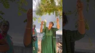 வெற்றி வாகை பூ☘️ Flea Tree  தூங்குமூஞ்சி பூ  Rain Tree  பண்ணிவாகை villagelife nature kids [upl. by Trebo]