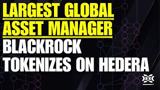 💥BREAKING Blackrock Hedera Tokenization  Largest Global Asset Manager Leveraging HBAR Network💥 [upl. by Norval]