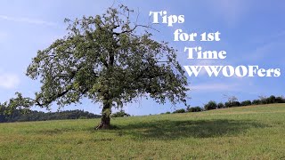 WWOOF  10 Tips for 1st Time WWOOFers [upl. by Goldy]