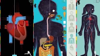 The Human Body by Tinybop  Best iPad app demo for kids  Ellie [upl. by Eirret]