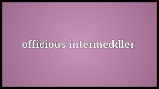 Officious intermeddler Meaning [upl. by Pegg288]