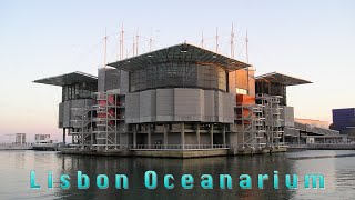 Lisbon Oceanarium  Oceanário de Lisboa  Erik Satie [upl. by Lauryn]