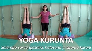 YOGA KURUNTA 9  Salamba sarvangasana halasana y viparita karani [upl. by Oilalue]