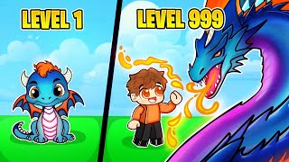 UPGRADING DRAGON TO LVL 99999 IN DRAGON RACE CLICKER [upl. by Noivart87]