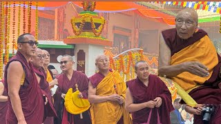 105th Ganden Tri Rinpoche Trithon At Drepung Loseling Tsulkhang Khamtsen🙏 [upl. by Nowed]