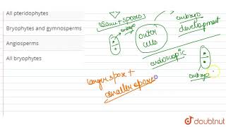 Which one of the following is homosporous with exo scopic embryogeny [upl. by Ax30]