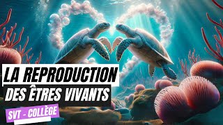 La reproduction des êtres vivants  SVT Collège [upl. by Anilef715]