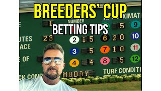 Breeders Cup Betting Tips [upl. by Boylston837]