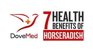 7 Health Benefits Of Horseradish [upl. by Nylatsirk]