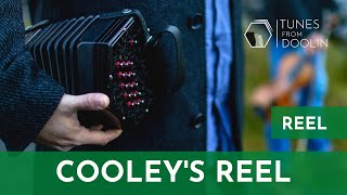 COOLEYS REEL Reel  Irish Music Tunes on Concertina 🎵☘️ [upl. by Lewak]