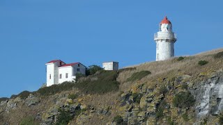 Voyage to Taiaroa Head [upl. by Smiga]