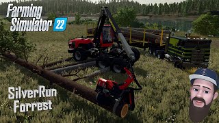 The ULTIMATE Logging BUILD in Farming Simulator 22  SilverRun Forest  Forestry Equipment Tour [upl. by Avad952]