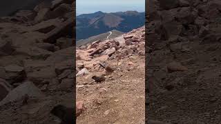 Rodents on Pikes peak vanlife colorado pikespeak [upl. by Naejarual332]