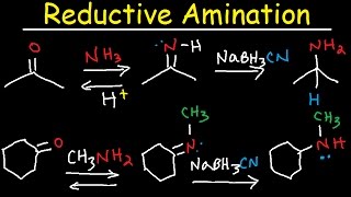 Reductive Amination of Ketones amp Aldehydes With NaBH3CN [upl. by Lrad]