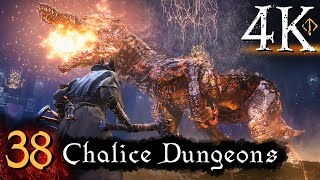 Bloodborne  First Time 4K 100 Platinum Walkthrough Part 38  Chalice Dungeons [upl. by Milan]