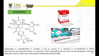Obtención de eritromicina [upl. by Ayarahs]