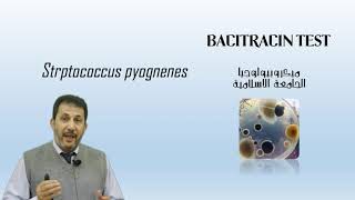 Bacitracin test [upl. by Latnahs]