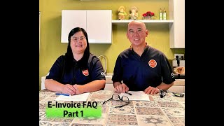 EInvoice FAQ Part 1 [upl. by Allx]