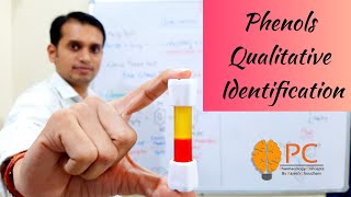 Phenols Part 5 Qualitative Identification Tests for phenols [upl. by Adnwahsal]