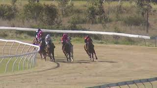 Yeppoon 20240803 Race 3 [upl. by Llien]