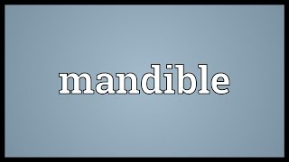 Mandible Meaning [upl. by Airam938]