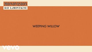 Ray LaMontagne  Weeping Willow Lyric Video [upl. by Jenilee]