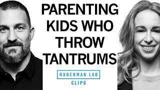 How to Parent quotDeeply Feeling Kidsquot  Dr Becky Kennedy amp Dr Andrew Huberman [upl. by Zeiger280]