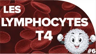 Les lymphocytes T4  SVT  SANTÉ 1ère spé 12  Mathrix [upl. by Broddy973]