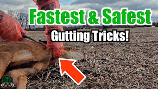 Field Dress a Deer in Minutes Fast amp Safe Gutting Tips for Every Hunter [upl. by Eca203]