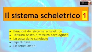 Sistema scheletrico  Parte 1 [upl. by Tilda287]