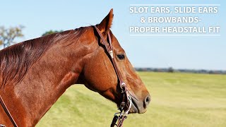 Slot Ears Slide Ears amp BrowbandsProper Headstall Fit [upl. by Byrne]