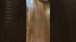 Removing wax off of laminate floors [upl. by Swayne]