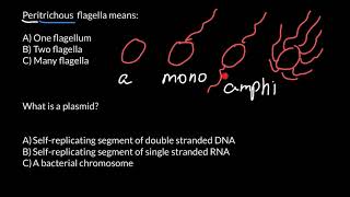 How to Memorize Names of the Different Types of Bacteria [upl. by Ferde663]